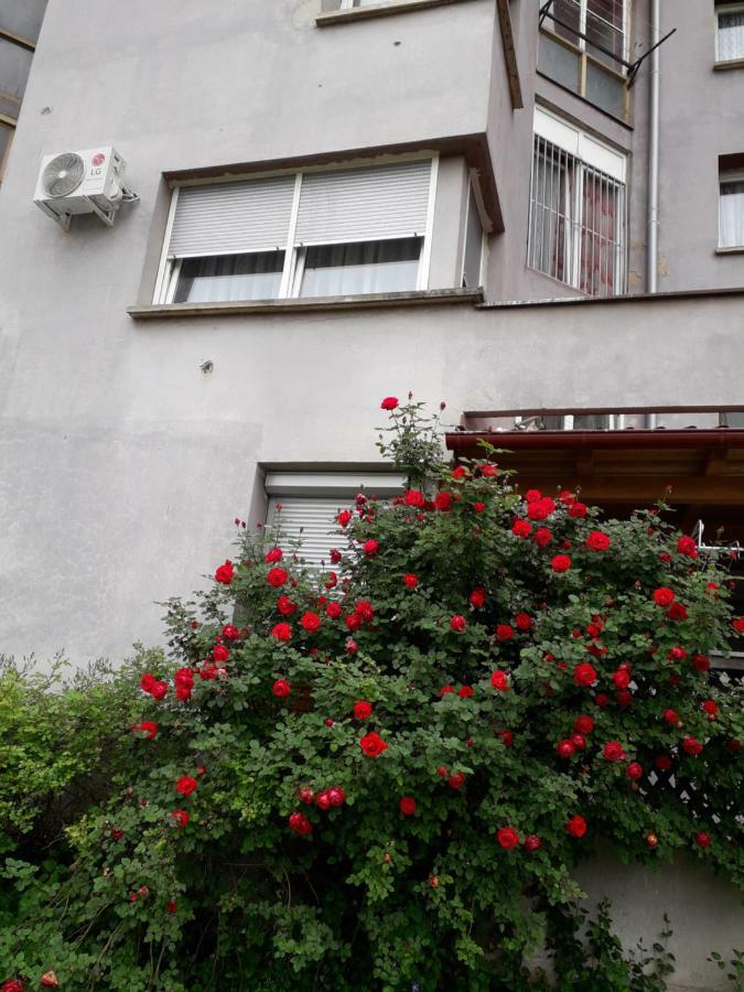 Apartments Lela Bihać Buitenkant foto